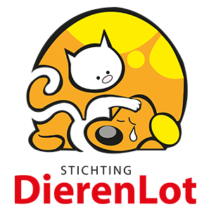 Steun Stichting Dierenlot met Cutie Bedudies: Samen maken we het verschil voor dieren in nood